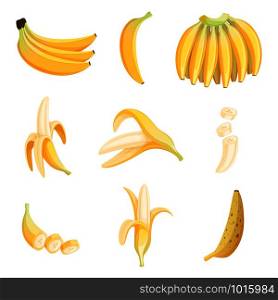 Banana cartoon. Fruits half appetizing dessert vector pictures collection. Illustration of banana sweet fruit, fresh ripe. Banana cartoon. Fruits half appetizing dessert vector pictures collection