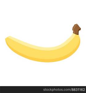 banana fruit food flat icon vector illustration isolated on white background