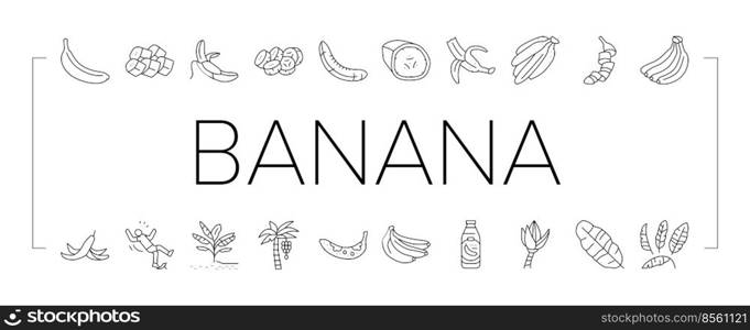 banana fruit food yellow white icons set vector. peel bunch, ripe fresh sweet, tropical healthy, green organic raw snack slice, delicious banana fruit food yellow white black contour illustrations. banana fruit food yellow white icons set vector