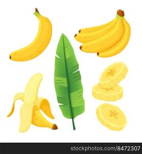 banana fruit set cartoon vector. white food, fresh yellow sweet bunch, organic tropical pile banana fruit. isolated color illustration. banana fruit set cartoon vector
