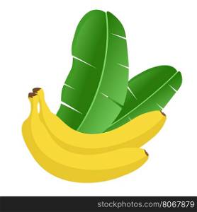 Banana fruit with banana palm leaves. Vector illustration in flat style. Two yellow bananas and two leaves on white background.. Banana fruit with banana palm leaves. Vector illustration in flat style. Two yellow bananas and two leaves on white background. Can be used for logo or web icon