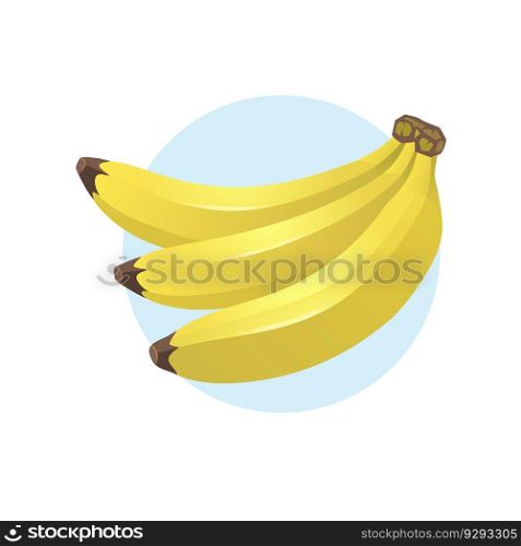 banana fruits vector illustration on white background