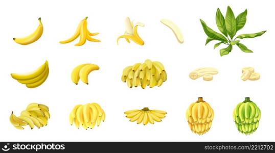 Banana icons set cartoon vector. Monkey peel. Banana ripe fruit. Banana icons set cartoon vector. Monkey peel