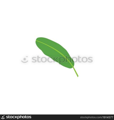 Banana leaf icon stock vector illustration logo design.