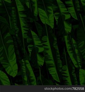 Banana leaf wallpaper. Abstract exotic plant seamless pattern. Tropical pattern, palm leaves seamless vector floral background.. Banana leaf wallpaper. Abstract exotic plant seamless pattern.