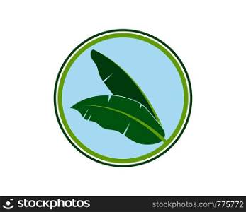 banana leaves element vector icon illustration design