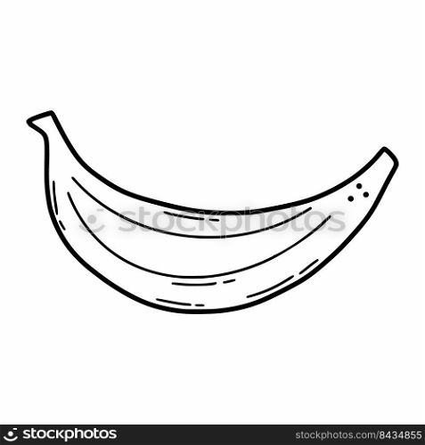 Banana on white background. Vector sketch illustration. Vegetables and fruits.