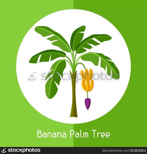 Banana palm tree. Illustration of exotic tropical plant. Banana palm tree. Illustration of exotic tropical plant.