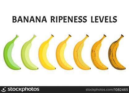 Banana ripeness levels vector set isolated on white background