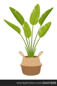 Banana tree plant in pot, vector lush tropical foliage. Compact container-friendly size, ideal for indoor or patio spaces, adds a touch of exotic beauty and brings a sense of freshness and greenery. Banana tree plant in pot, vector tropical foliage