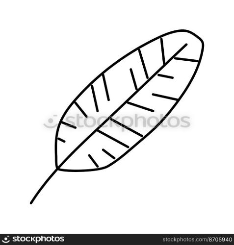 banana tropical leaf line icon vector. banana tropical leaf sign. isolated contour symbol black illustration. banana tropical leaf line icon vector illustration