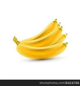 Banana. Vector Realistic Isolated Bananas. Realistic Yellow Bananas on the White Background. Vector Illustration of Bananas for Wallpaper, Packaging, Web Design, Tablecloth, Tile. Delicious Fruits.