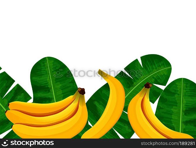 Bananas, tropical palm leaves, dense jungle. Vector illustration with tropic summertime motif. text 100 percent natural. Can be used as background texture, wrapping paper, textile, wallpaper design. Bananas and tropical palm leaves, dense jungle. Vector illustration with tropic motif. text 100 percent natural
