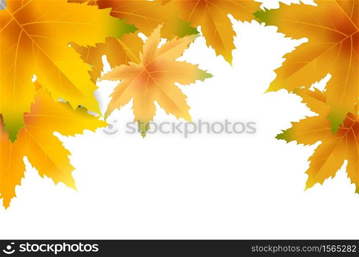 Banner autumn falling leaves template background. Banner autumn falling leaves template background. Yellow and brown colorful foliage. Banners, flyers, presentations. Vector illustration