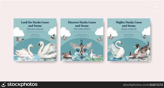 Banner template with duck and swan concept,watercolor style 