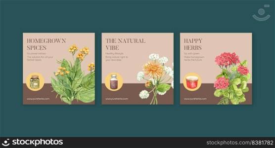 Banner template with herb homegrown concept,watercolor style 