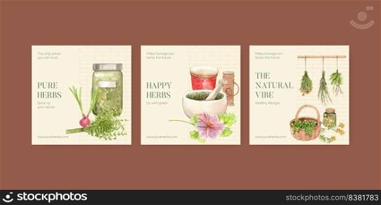 Banner template with herb homegrown concept,watercolor style
