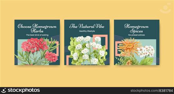 Banner template with herb homegrown concept,watercolor style 