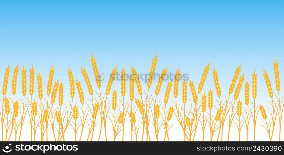banner wheat field on blue sky background vector concept of harvest and agriculture Ukraine