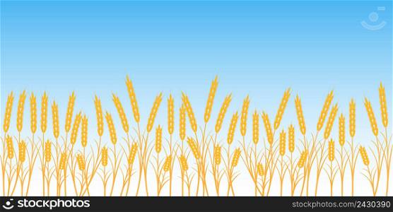 banner wheat field on blue sky background vector concept of harvest and agriculture Ukraine