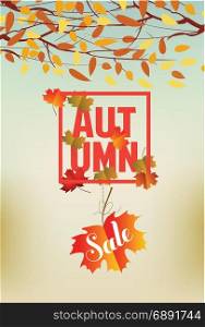 Banner with the words autumn. Autumn leaves background