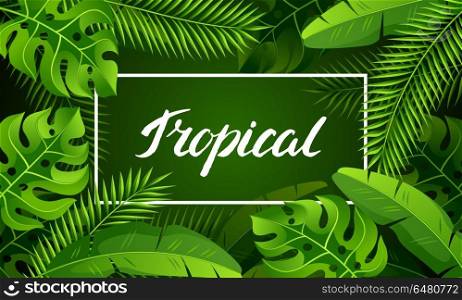 Banner with tropical palm leaves. Exotic tropical plants. Illustration of jungle nature. Banner with tropical palm leaves. Exotic tropical plants. Illustration of jungle nature.