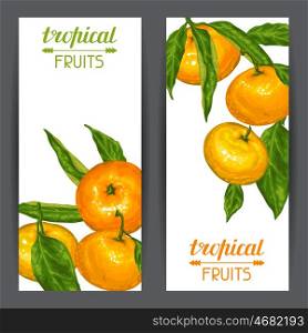Banners with mandarins. Tropical fruits and leaves. Banners with mandarins. Tropical fruits and leaves.
