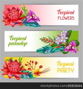 Banners with Thailand flowers. Tropical multicolor plants, leaves and buds.