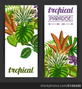 Banners with tropical plants and leaves. Image for advertising booklets, banners, flayers.