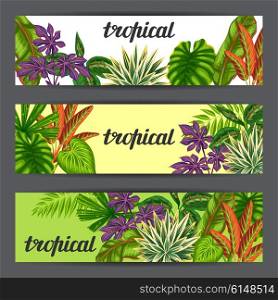 Banners with tropical plants and leaves. Image for advertising booklets, banners, flayers.