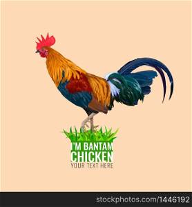 Bantam chicken, vector illustration and design.