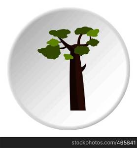 Baobab icon in flat circle isolated on white vector illustration for web. Baobab icon circle