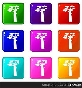 Baobab icons of 9 color set isolated vector illustration. Baobab icons 9 set
