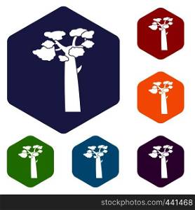 Baobab icons set hexagon isolated vector illustration. Baobab icons set hexagon