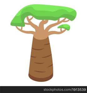 Baobab safari tree icon isometric vector. African seed. Angola plant. Baobab safari tree icon isometric vector. African seed