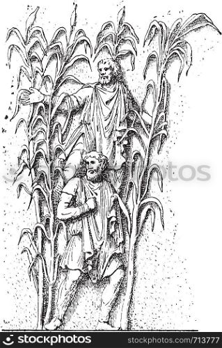 Barbarians in the reeds, vintage engraved illustration.