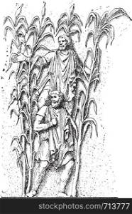 Barbarians in the reeds, vintage engraved illustration.