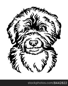 Barbet dog black contour portrait. Dog head in front view vector illustration isolated on white. For decor, design, print, poster, postcard, sticker, t-shirt, cricut,tattoo and embroidery. Barbet water dog vector black contour portrait