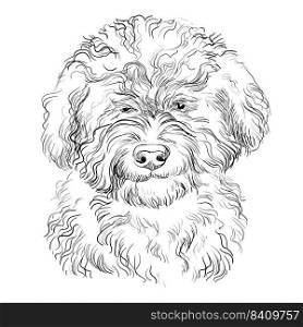 Barbet hand drawing dog vector isolated illustration on white background. Cute realistic funny dog looking into the camera. For print, design, T-shirt, sublimation, decor, coloring, poster, card. Barbet hand drawing dog vector isolated illustration