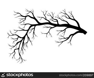 bare branch winter design isolated on white background 