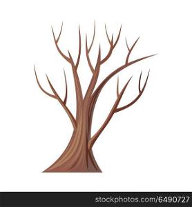 Bare Tree Without Leaves. Oak. Vector. Vector tree. Oak isolated on white. Bare tree without leaves. Oak is a tree or shrub in the genus Quercus of the beech family, Fagaceae. Oakley. Part of series of different trees. Vector illustration