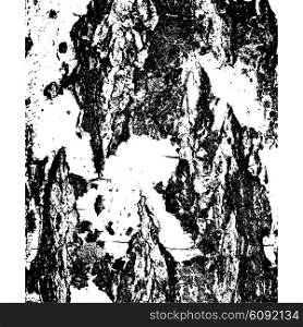 Bark of birch in the cracks texture. Vector illustration.