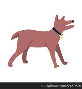 Barking dog with collar semi flat color vector character. Posing figure. Angry and scared pet. Full body animal on white. Simple cartoon style illustration for web graphic design and animation. Barking dog with collar semi flat color vector character