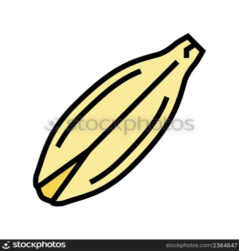 barley seed color icon vector. barley seed sign. isolated symbol illustration. barley seed color icon vector illustration