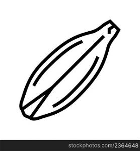 barley seed line icon vector. barley seed sign. isolated contour symbol black illustration. barley seed line icon vector illustration