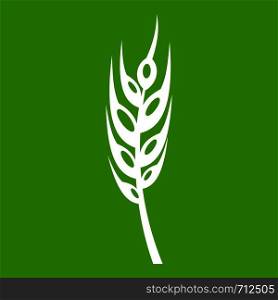 Barley spike icon white isolated on green background. Vector illustration. Barley spike icon green