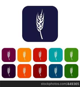 Barley spike icons set vector illustration in flat style In colors red, blue, green and other. Barley spike icons set flat
