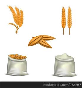 Barley wheat hops mockup set. Realistic illustration of 5 barley wheat hops mockups for web. Barley wheat hops mockup set, realistic style