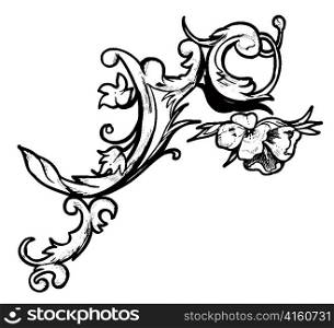 baroque floral element vector illustration