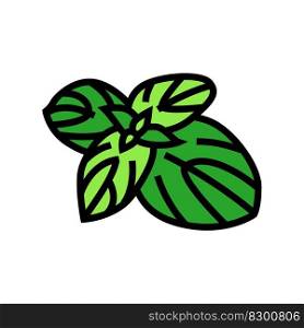 basil food herb color icon vector. basil food herb sign. isolated symbol illustration. basil food herb color icon vector illustration